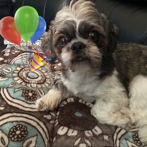 Meet your Posher, Tatana